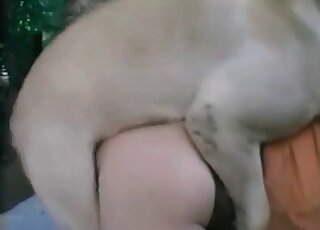 Obnoxious chick gives a decent penis massage