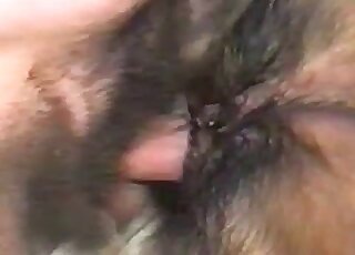 Fucked-up missionary fuck session with a doggo