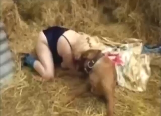 Round-assed MILF fucked by her favorite dog