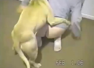 Went to the limit with this fucked-up MILF