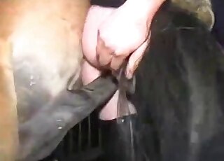 Good-looking sex scene with a MILF in leather